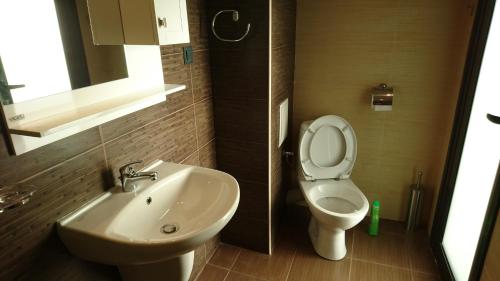 a bathroom with a white toilet and a sink at Park Apartments & Rooms Popovi in Sandanski