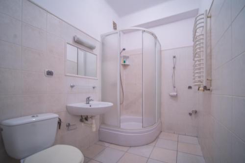 a bathroom with a shower and a toilet and a sink at Apartament Izaaka in Krakow