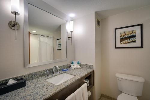 La salle de bains est pourvue d'un lavabo, de toilettes et d'un miroir. dans l'établissement Holiday Inn Express & Suites Sylva / Dillsboro, an IHG Hotel, à Dillsboro