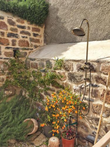 a garden with flowers in pots next to a wall at Lithos Residence Poros in Poros