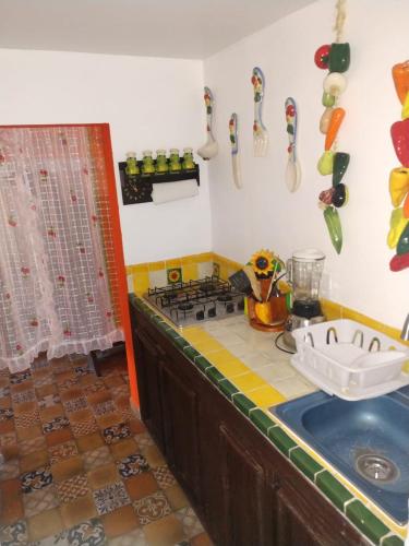 a kitchen with a sink and a counter top at Casa Mexicana Patio in Mexico City