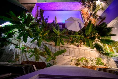 a view of a room with plants and a table at PERLA Dhangethi in Dhangethi