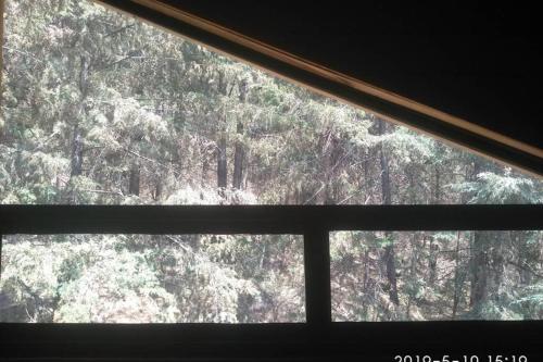 Φωτογραφία από το άλμπουμ του Cabaña Los Nogales σε Patzcuaro