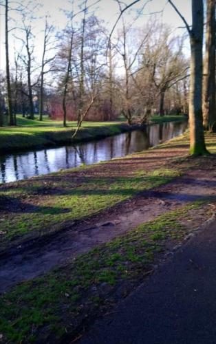 een rivier in een park met bomen en gras bij ruhiges Zimmer in Pankow in Berlijn