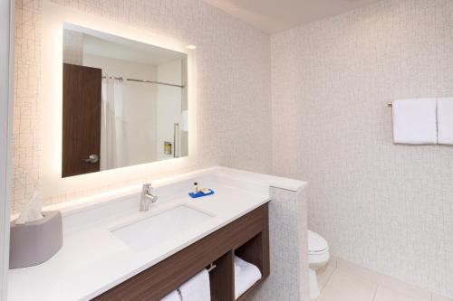 ein Badezimmer mit einem Waschbecken, einem Spiegel und einem WC in der Unterkunft Holiday Inn Express & Suites - Auburn, an IHG Hotel in Auburn