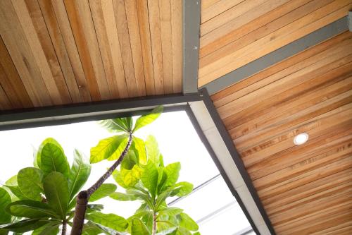 a wooden ceiling in a room with a tree at Summerflow Hostel in Xiaoliuqiu