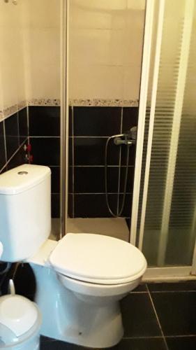 ein Badezimmer mit Toilette und Dusche in der Unterkunft Cennet Pansiyon in Kaleucagız