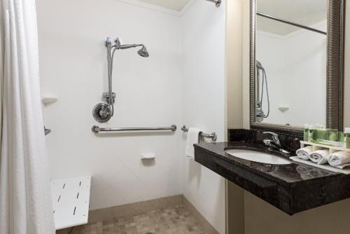 Ванная комната в Holiday Inn Express Hotel & Suites Clute-Lake Jackson by IHG