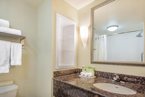 a bathroom with a sink and a mirror at Holiday Inn Express Hotel & Suites Clute-Lake Jackson, an IHG Hotel in Clute