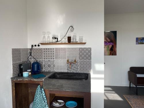 a kitchen with a sink and a counter top at HEUVELHOF in Baarsdorp