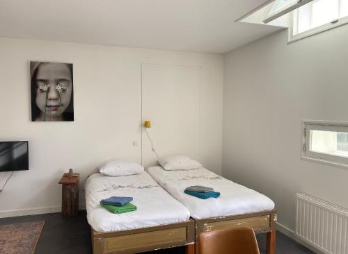 a bedroom with two twin beds and a tv at HEUVELHOF in Baarsdorp