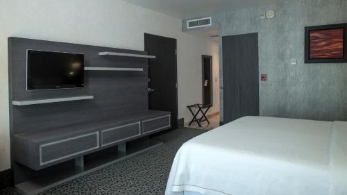 a bedroom with a bed and a flat screen tv at Holiday Inn Express & Suites Queretaro by IHG in Querétaro