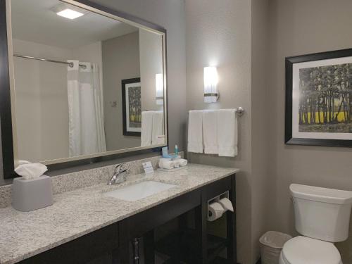 a bathroom with a sink and a toilet and a mirror at Holiday Inn Express and Suites Madison Central by IHG in Madison