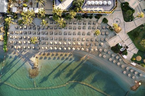 TUI MAGIC LIFE Bodrum - Adults Only – Photos 3