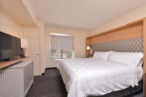 a bedroom with a large bed and a television at Holiday Inn & Suites Raleigh Cary, an IHG Hotel in Cary