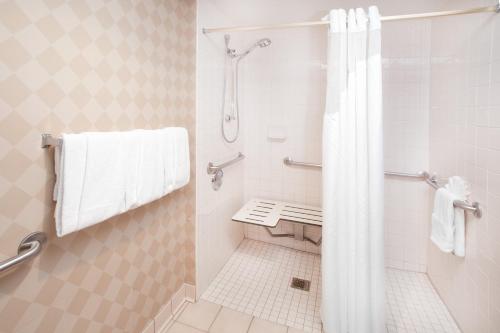 a bathroom with a shower and a bench in it at Holiday Inn & Suites Chicago-Carol Stream Wheaton, an IHG Hotel in Carol Stream