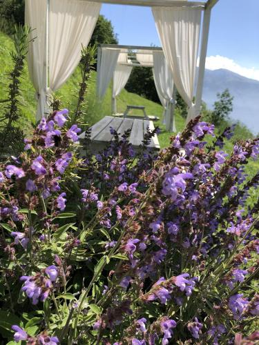 BnB Borgo le Vigne - L'Acqua vite – Photos 5