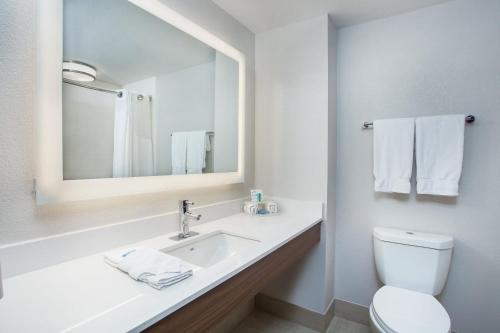 een badkamer met een wastafel, een toilet en een spiegel bij Holiday Inn Express & Suites Lebanon-Nashville Area, an IHG Hotel in Lebanon