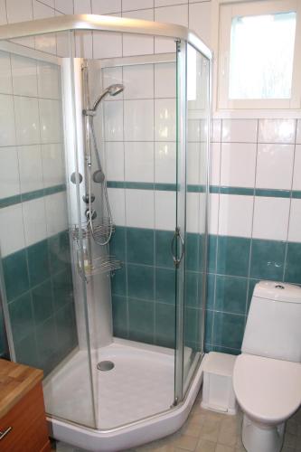 a bathroom with a glass shower with a toilet at Willa Rautalahti in Rautalahti