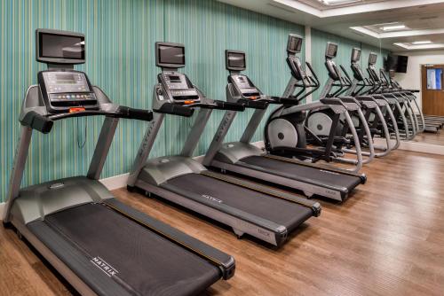 a row of treadmills in a gym at Holiday Inn Express & Suites - Siloam Springs by IHG in Siloam Springs