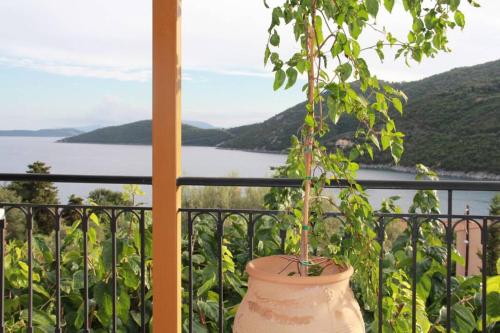 a plant in a pot sitting on a balcony at Vardia rooms & apartments in Mikros Gialos