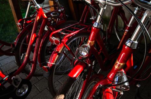 a group of red bikes parked next to each other at Bodensee-Hotel Kreuz in Uhldingen-Mühlhofen