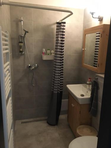 a bathroom with a shower and a toilet and a sink at Apartmán Český Ráj in Jičín