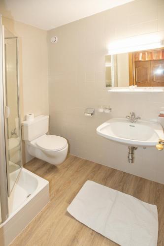 a white bathroom with a toilet and a sink at Hotel Untermetzger in Zell am Ziller