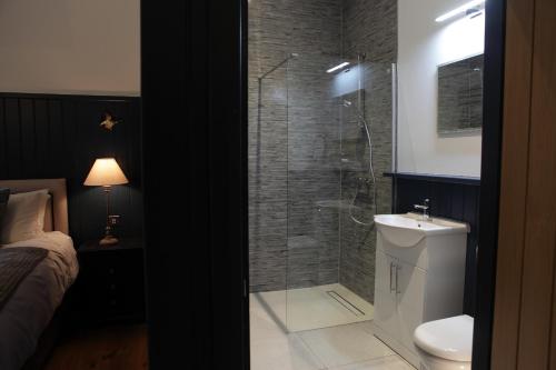 a bathroom with a shower and a toilet and a sink at Cwmbach Lodge luxury B&B in Glasbury