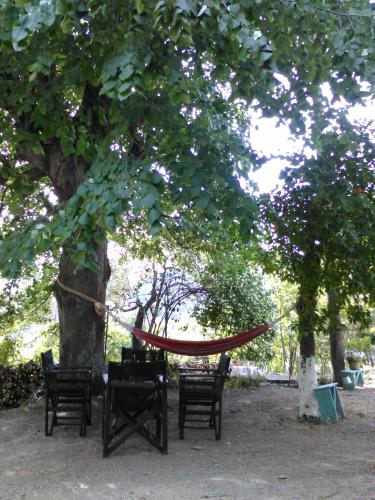 a hammock under a tree in a park at Traditional stone house in Pelion in Rodhiás