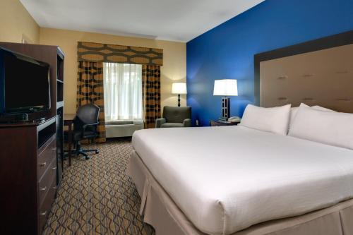 a hotel room with a large bed and a flat screen tv at Holiday Inn Express Tower Center New Brunswick by IHG in East Brunswick
