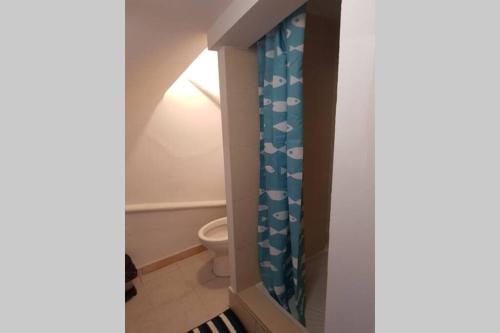 une salle de bain avec toilettes et rideau de douche dans l'établissement appartement renové , quartier historique du panier , centre-ville, à Marseille