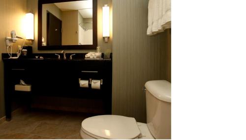 a bathroom with a toilet and a sink with a mirror at Holiday Inn Express & Suites Marion Northeast by IHG in Marion