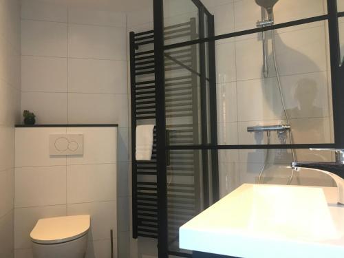 a bathroom with a shower and a toilet and a sink at De Specht in Bergen
