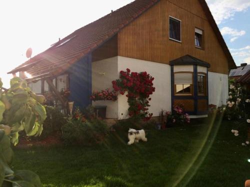 a dog sitting in the grass in front of a house at Ferienwohnung Evelyn und Reinhard Himmler in Pleinfeld