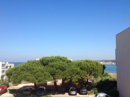 un grupo de autos estacionados en un estacionamiento junto a un árbol en Appartement vue mer, en Six-Fours-les-Plages