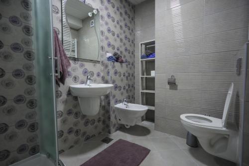 烏日策的住宿－Apartment Tufna，一间带卫生间和水槽的浴室