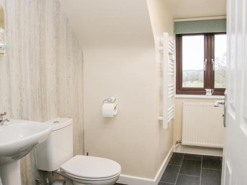 a white bathroom with a toilet and a sink at Oakland Cottage in Craven Arms