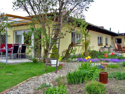 Κήπος έξω από το Ferienhaus Ursula