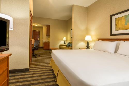 a hotel room with a bed and a flat screen tv at Holiday Inn Express Hotel & Suites Manteca by IHG in Manteca