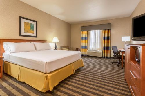 a hotel room with a bed and a flat screen tv at Holiday Inn Express Hotel & Suites Manteca by IHG in Manteca