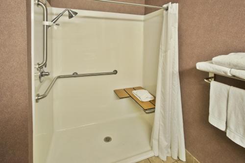 a bathroom with a shower with a shower curtain at Holiday Inn Express Hotel & Suites Woodhaven by IHG in Woodhaven