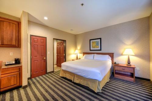 a hotel room with a large bed and two lamps at Holiday Inn Express Hotel & Suites Manteca by IHG in Manteca
