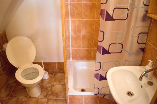 uma casa de banho com um WC, um chuveiro e um lavatório. em CHATA JURAJ em Mlynky 