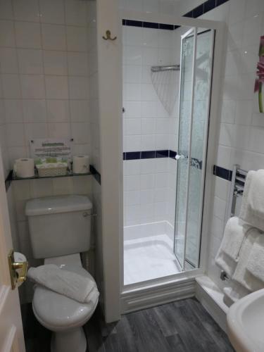 a bathroom with a shower and a toilet and a sink at The Cumberland in Llandudno