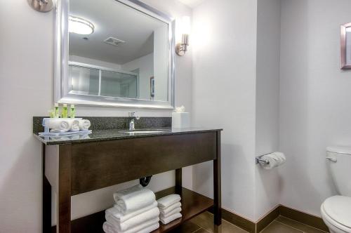 een badkamer met een wastafel, een spiegel en een toilet bij Holiday Inn Express Hotel & Suites Carlsbad Beach, an IHG Hotel in Carlsbad