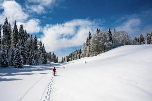 a person is skiing on a snow covered slope at Le Diable Bleu in Lamoura
