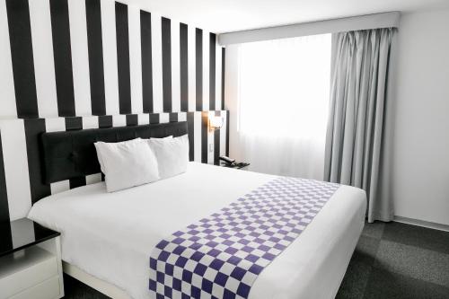 Fotografie z fotogalerie ubytování Wyndham Costa del Sol Lima City v destinaci Lima