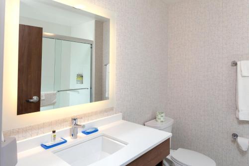 Ett badrum på Holiday Inn Express & Suites - Gilbert - East Mesa, an IHG Hotel