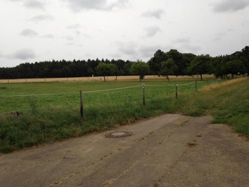 a dirt road in a field with a fence at Penthouse Mosel Hunter in Gornhausen